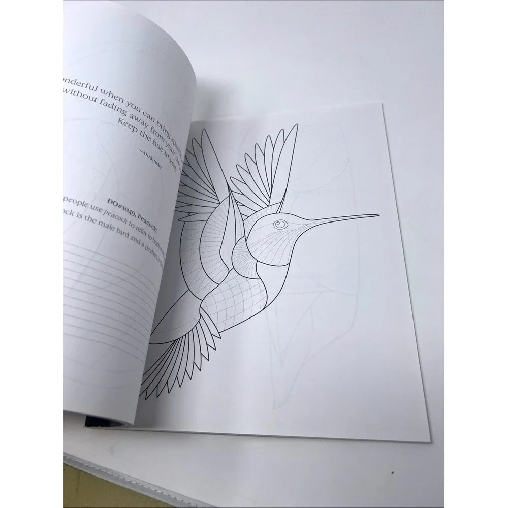 TangleEasy Birds Ben Kwok Zentangle Design Templates Coloring Art Book NEW NOS